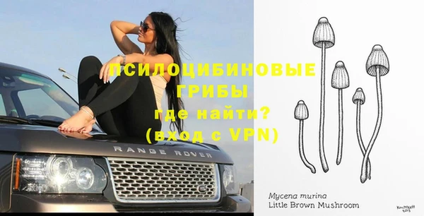 ГАЛЛЮЦИНОГЕННЫЕ ГРИБЫ Балахна