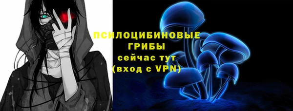 тгк Армянск