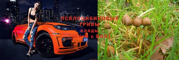 тгк Армянск