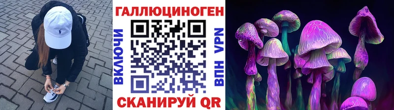 Псилоцибиновые грибы MAGIC MUSHROOMS  blacksprut онион  Тейково 