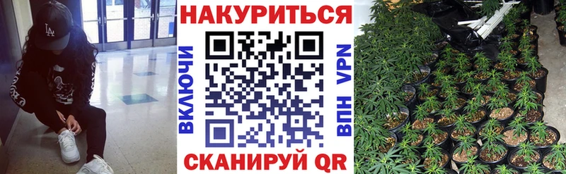 Бошки Шишки планчик  Тейково 